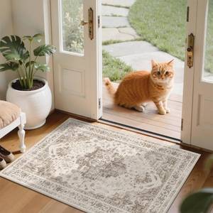 lot 11617 image: DUIDY 2x3 Vintage Washable Area Rugs for Entryway Soft Non-Slip Bath Mat Boho Medallion Distressed Retro Accent Carpet Floral Low Pile Indoor Throw Rug for Kitchen Laundry Living Room Bedroom, Taupe