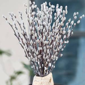 lot 11637 image: Oning 30 Stems Real Dried Pussywillow Preserved Greenery Branches for Vase- Natural Pussywillows with White Flowers, 16-17 Snow Willow Branches for Easter Wedding Home Party Hotel Fireplace Decor