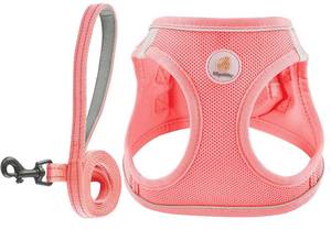 lot 14127 image: Hipubby Dog Harness and Leash Set, No Pull Soft Mesh Puppy Harness for Small Medium Dogs, Cats - Step in Reflective Breathable Lightweight Vest Harness for Walking, Training - Pink, XS
