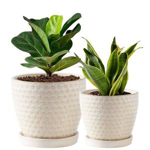lot 19446 image: Swkien Plant Pots, Flower Pots, Planters for Indoor Plants(6.55.5inch), Flower Pots for Indoor Plant with Drainage Hole and Saucer, Ceramic Pots for Plants with Hole Mesh Pad,Reactive Glaze White