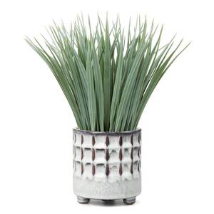 lot 19471 image: Hollyone Fake Grass Plant in Ceramic Pot Artificial Potted Plants Small Faux Plants for Home Decor Realistic Green Grass House Living Room Bedroom Bathroom Office Indoor & Outdoor Greenery Decoration