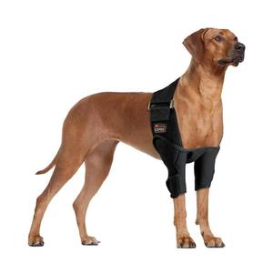 lot 20117 image: TIPOOP Dog Elbow Brace L �� Large Dog Support for Elbow Hygroma, Arthritis, Dysplasia �� Protective Brace for Recovery �� Adjustable, Comfortable Fit for Labs, Goldens, Huskies (Used)