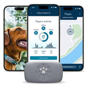 lot 20153 image: Petivity Smart GPS and Activity Pet Tracker for Dogs Powered by Purina, Waterproof Real Time Tracking GPS Dog Collar, Downloadable App, Subscription Required