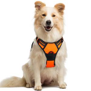 lot 2198 image: rabbitgoo Dog Harness No Pull with 2 Leash Clips, Adjustable Soft Padded, Reflective Oxford No Choke Pet Vest with Easy Control Handle for Medium Sized Dogs,Orange, M