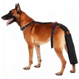 lot 4250 image: Dog Tail Protector, Soft Dog Tail Guard, Adjustable Dogs Tail Cover, Breathable Tail End Bag for Aid Wound Recovery, Prevent Licking Wounds (Small)