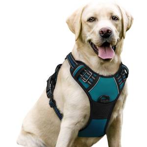 lot 14244 image: rabbitgoo Dog Harness No Pull with 2 Leash Clips, Adjustable Soft Padded, Reflective Oxford No Choke Pet Vest with Easy Control Handle for Large Dogs, Blue Coral, L