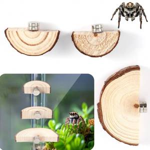 lot 14267 image: BOXOB 3pcs Jumping Spider Enclosure Ledges, Magnetic Jumping Spider Enclosure Ledges Ladder Magnets Jumping Spider Habitat Pet Spider Enclosure Accessories