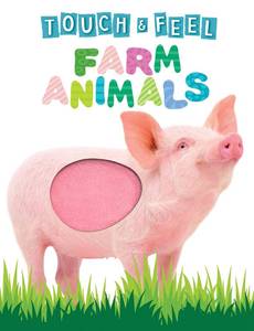 lot 14288 image: Touch and Feel Farm Animals - Novelty Book - Childrens Board Book - Interactive Fun Childs Book