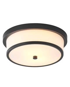lot 19550 image: MIAOMEIO 12 inch Flush Mount Ceiling Light, 2-Light Close to Ceiling Light Fixtures with Black Finish for Bathroom Bedroom Kitchen Hallway (Black)