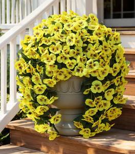 lot 20306 image: HyeFlora Artificial Flowers for Outdoors, 2pcs Faux Silk Pansies Flowers UV Resistant Fake Hanging Flower Plants for Outside Planters Porch Yard Patio Window Box (Yellow)