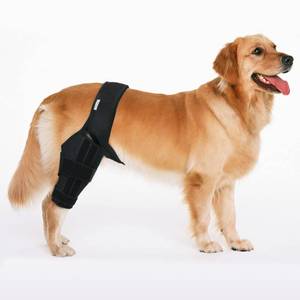 lot 20307 image: MerryMilo Dog Knee Brace for Hind & Rear Legs �� Adjustable, Durable, Black, Size XXL