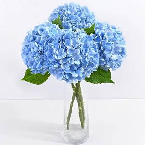 lot 897 image: Yastouay 3 Pcs Real Touch Hydrangea Artificial Flowers, 21 Blue Full Faux Hydrangea Flowers Latex Fake Flowers for Home Decor Party Floral Arrangements Wedding Bouquets Centerpieces Outdoor Decor - Retail $20