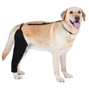 lot 20386 image: Pre Owned BARKLESS Single Dog Rear Leg Sleeve to Stop Licking, Breathable Male Female Dog Recovery Suit for Post Surgery, Comfortable Back Leg Sleeve for Wound Healing, Protective Cone Collar Alternative - Retail $24