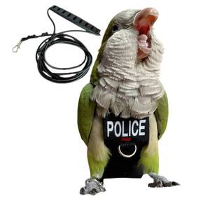 lot 20395 image: Barn Eleven Bird Diaper Harness Flight Suit Clothes, Parrot Flight Suit with Leash for Parrot, Bird Flying Clothes with Rope and Handle for Outdoor Activities Training (with Leash - Large) - Retail $18