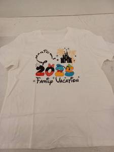 lot 12217 image: Lot of 14 Disney 2025 Family Vacation T-Shirt Collection, 8 -2XL & 6 -XL