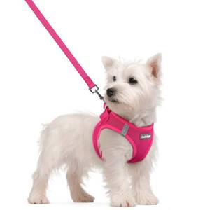 lot 7898 image: rabbitgoo Dog Harness Small Sized and Leash Set, Step in Soft Light Puppy Vest, Breathable Mesh Pet Harness, Reflective for Safe Easy Walking, Rose Red S