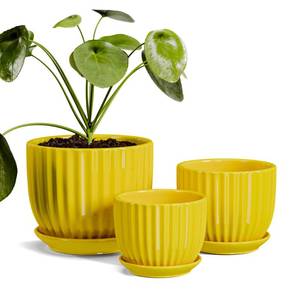 lot 7932 image: Ton Sin Ceramic Flower Pots,Yellow Plant Pots for Indoor Plants,4.15.16.5 inch Ceramic Plant Pots with Tray,Medium Indoor Planters for Aloe Cactus Decorative Pots with Drainage Hole (Set of 3)