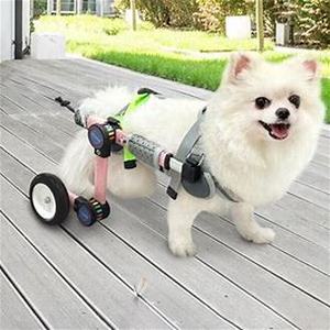 lot 3925 image: Dog Wheelchair for Back Legs Mobility Support Lightweight Pet Wheelchair for Disabled Hind Legs Walking Stable Dog Small