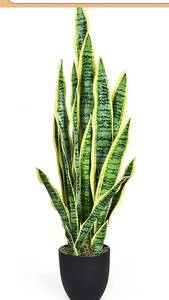 lot 4791 image: Goplus Fake Snake Plant