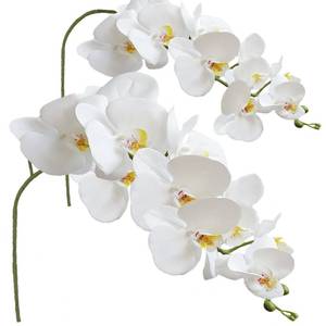 lot 4844 image: FagusHome Artificial Phalaenopsis Flowers Branches 9 Large Blooms Artificial Orchid Flowers Stem Plants 42 Inches 2 Pcs for Home Wedding D�cor (White)