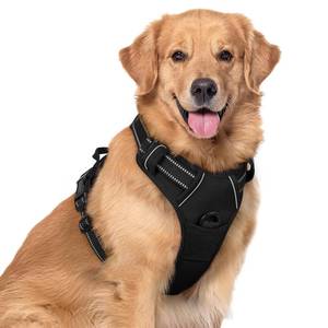 lot 5112 image: rabbitgoo Dog Harness No Pull with 2 Leash Clips, Adjustable Soft Padded, Reflective Oxford No Choke Pet Vest with Easy Control Handle for Large Dogs, Black, XL