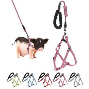 lot 5131 image: Mini Pig Harness, Adjustable Small Pig Harness with Leash Infinity Style Lead and Soft Foam Handle for Small to Medium Pet Pigs Walking Training Jogging (Pink, L)