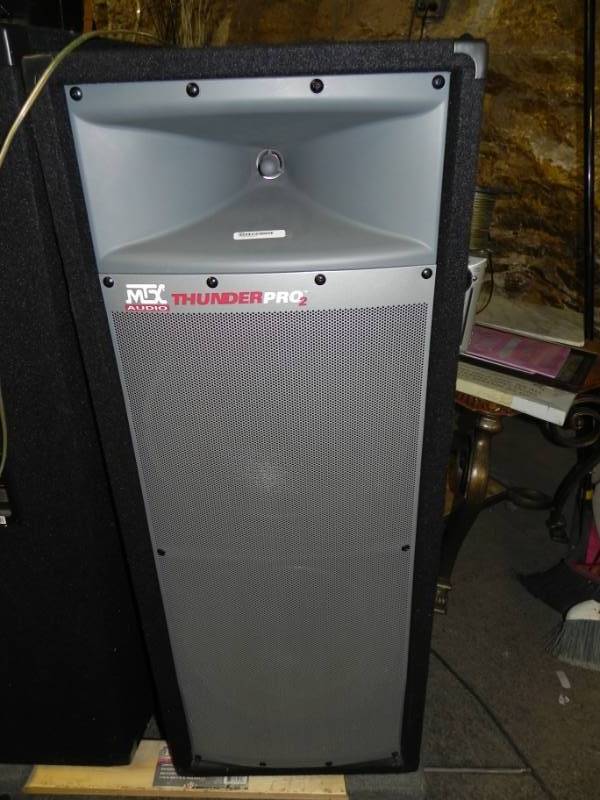 lot 10592 image: MTX Audio Thunder Pro 2 Speaker