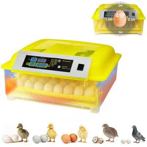 lot 5110 image: Egg Incubator for Hatching Eggs, Automatic Egg Turner & Digital Humidity Control, 56 Egg Capacity, Clear Temperature Display, Externa, 360° Clear Viewing for Poultry, Ducks, Quail (48-56 Eggs) - Retail $110