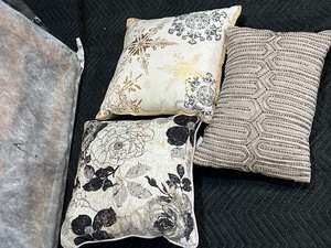lot 22516 image: 3 Misc. Decorative Pillows