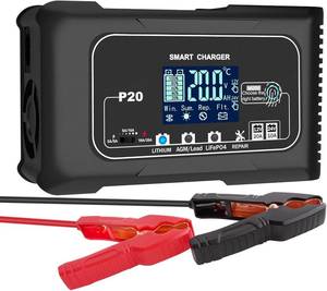 lot 221438 image: RCGCBC Battery Charger 0-20A,12V24V Lithium Battery Charger for LIFePo4,Lead Acid,AGM,RV,Marine,Boat, and Deep Cycle Batteries,9 Stage with Pulse Repair,Smart Car Trickle Charger & Maintainer