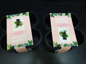 lot 1076 image: Set of 2 - Black Plastic Stacking Planters Set with Drainage Tray - Retail $15