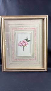 lot 106 image: Framed Pink Flower Botanical Print Approximately 19 by 23 Inches