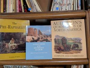 lot 35 image: Art and History Book Collection - Pre-Raphaelite, Anasazi Ruins, Audubons Quadrupeds