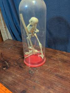 lot 67 image: Human Skeleton Model in Glass Dome Display Case