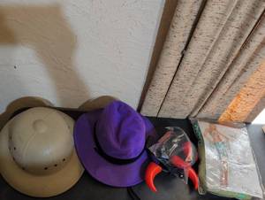 lot 160 image: Halloween Costume Accessories Bundle