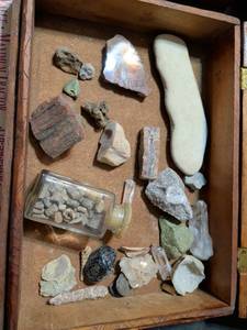 lot 180 image: Mixed Rock Mineral and Fossil Collection in Wooden Display Box