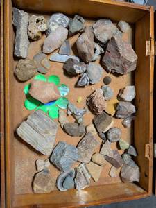 lot 181 image: Mixed Rock and Fossil Collection in Wooden Display Box
