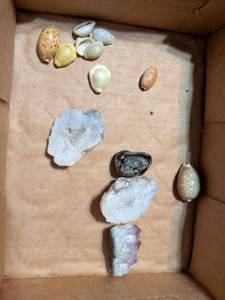 lot 182 image: Mixed Mineral and Shell Collection Set