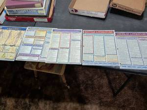 lot 206 image: Educational Study Reference Poster Collection