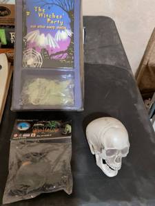 lot 256 image: Halloween Decoration Bundle with Skull and Spider