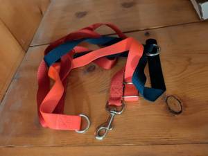 lot 272 image: Colorful Nylon Dog Leashes with Metal Clips