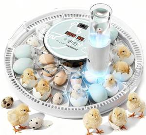 lot 5195 image: MeeF Egg Incubator for Hatching 28 Eggs, Auto Flip, Independent Atomizing Humidifier, with Duck and Goose Egg Trays (Green) - Retail $30
