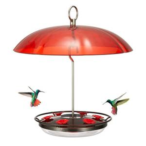 lot 6043 image: Kingsyard 12 oz Hummingbird Feeder with Rain Guard Dome, Leak-Proof Saucer Nectar Feeder for Outdoors Hanging, Built-in Ant Moat & 6 Bee-Proof Ports, Easy to Refill & Clean, Black
