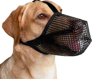 lot 6091 image: Mayerzon Dog Muzzle, Patented Mesh Muzzles for Small Medium Large Dogs, Soft Covered Mouth Guard with Adjustable Straps, Prevent Biting Chewing and Licking