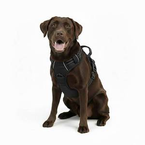 lot 10282 image: Gavpepy No Pull Dog Harness, Reflective Comfortable Vest Harness with Front & Back Easy Control Handle Adjustable Soft Padded Pet Vest for Small to Large Dogs (Large,Black)