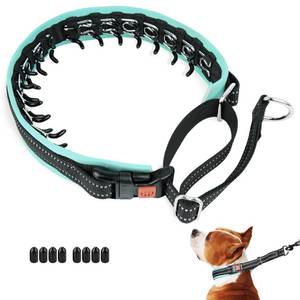 lot 10285 image: Mayerzon Martingale No Pull Collar for Small Medium Dogs, Patented Anti Pull Dog Collar with Buckle for Walking Training, with Neoprene Padding and Reflective Stitching, Adjustable(Teal Trim, S)