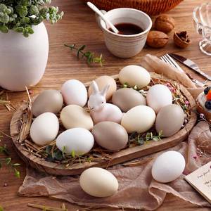 lot 12412 image: Gejoy 12 Pcs Neutral Easter Eggs Plastic Fake Chicken Eggs 2.36 Inch Vintage Boho Easter Decor Pastel Bowl Vase Fillers Farmhouse Spring Decorations for Home Table DIY Craft (Cream)