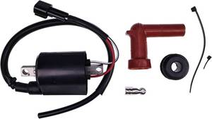 lot 18305 image: YLQASOON Ignition Coil Compatible with Yamaha 150 175 200 225 250 300 HP Outboard 2000-2014#60V-82310-01-00 68F-82310-11-00 60V-82310-10-00