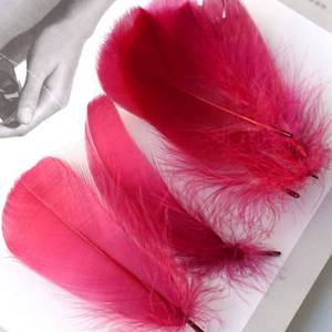 lot 21511 image: 50 Pieces Wine Red Goose Feathers for Craft, Bulk Colored Feather 3-5Inch Goose Feathers for DIY Craft Projects Festivals Weddings Birthday Party Decor - Retail $7