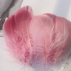 lot 21523 image: 50 Pcs Leather Pink Natural Dyed Goose Feathers, 3-5Inch Craft Feathers Assorted Colors Feathers for Hat DIY Craft Wedding Party Birthday Clothing Decorations - Retail $7